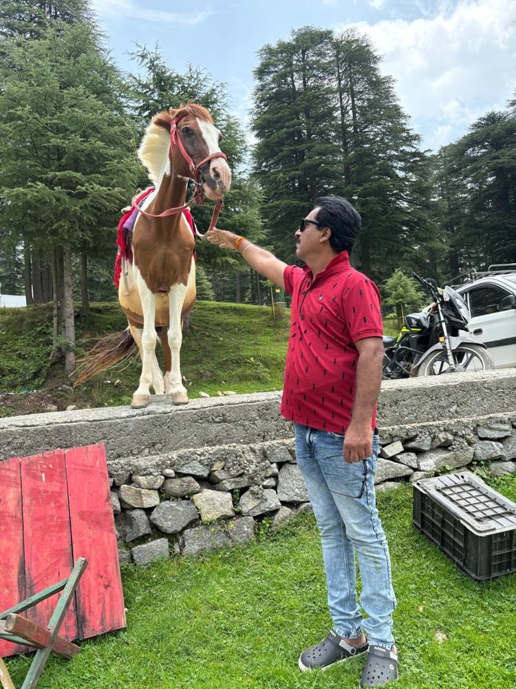Traveller petting a horse among deodar trees