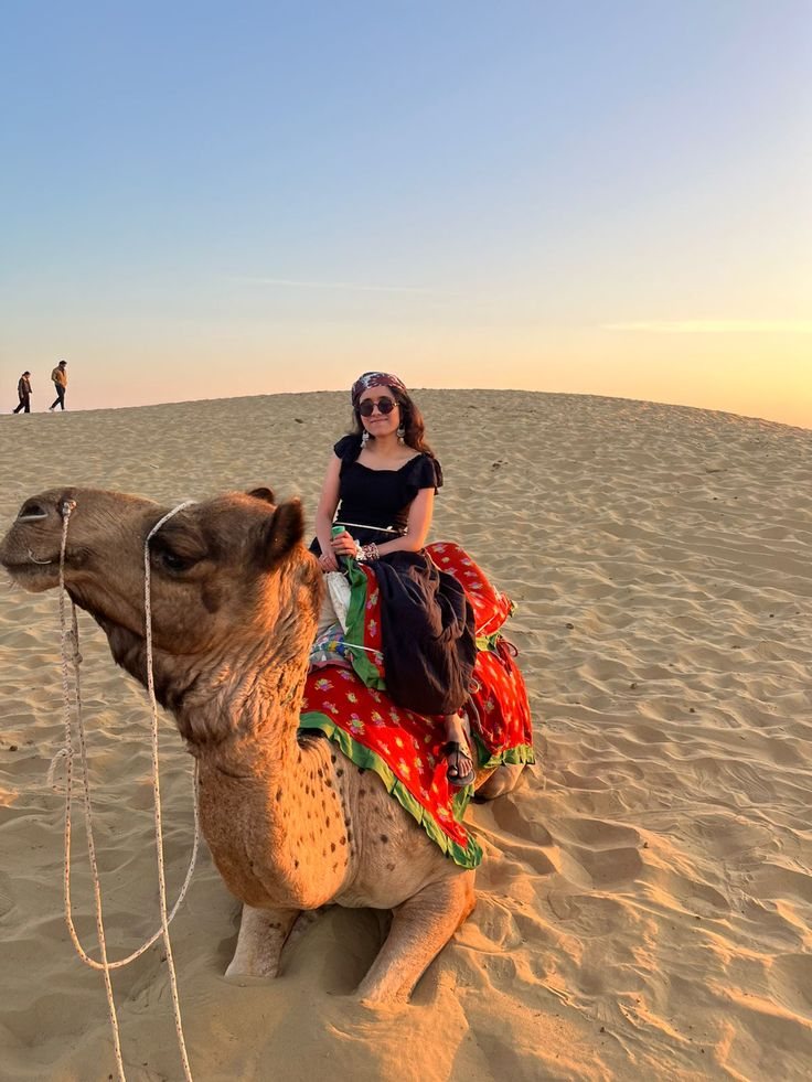 Camel safari on the Rajasthan sand dunes