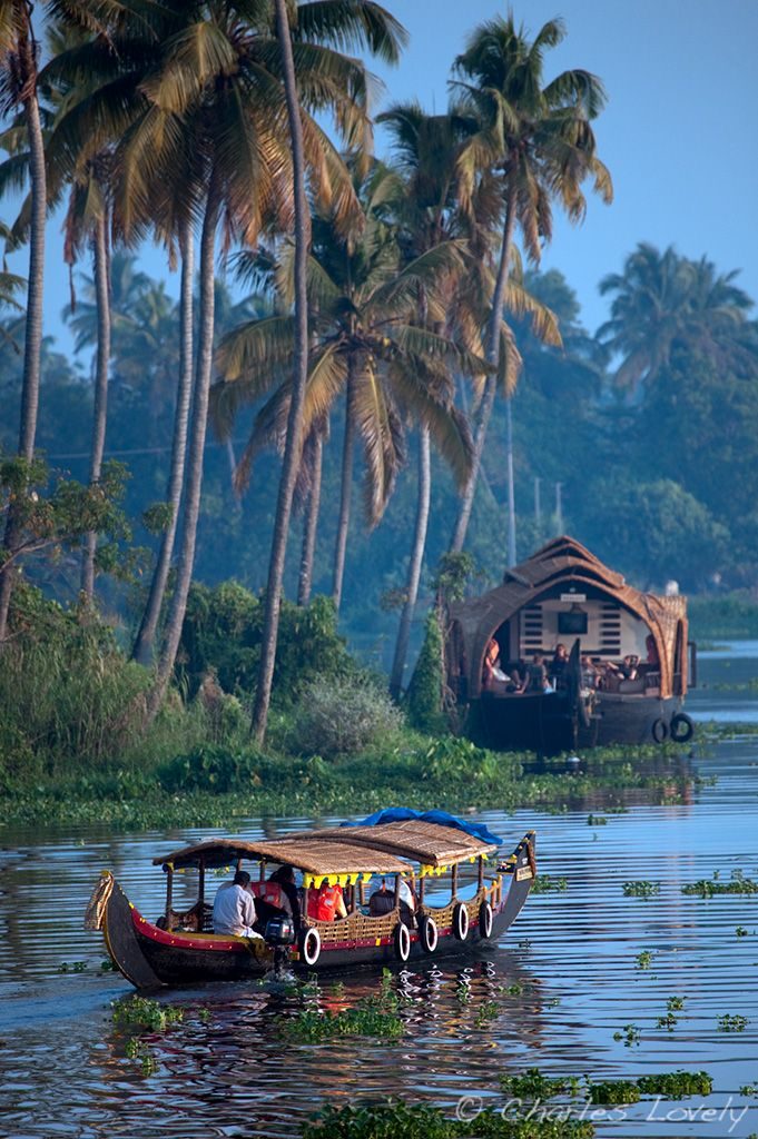 Houseboats on the Kerala backwaters